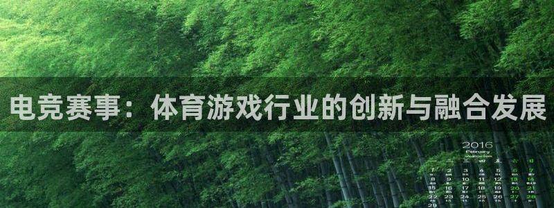 亿万28龙：电竞赛事：体育游戏行业的创新与融合发展