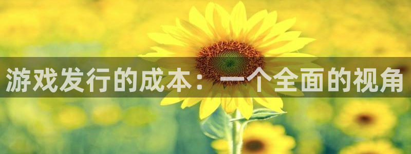 亿万28子财经丛书有哪些：游戏发行的成本：一个全面的视角