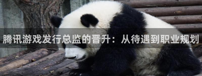 亿万28校服：腾讯游戏发行总监的晋升：从待遇到职业规划