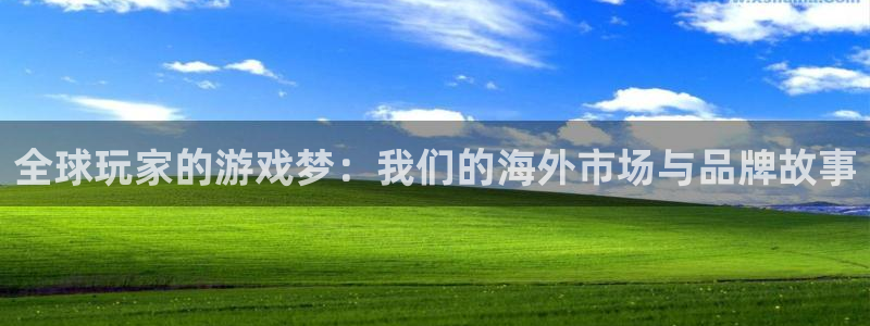 亿万28智得官网：全球玩家的游戏梦：我们的海外市场与品牌故事