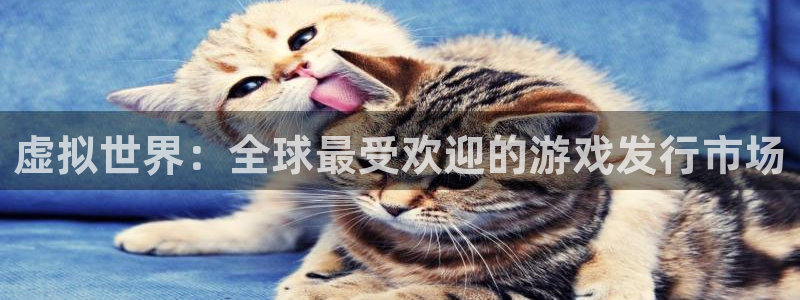 亿万28有什么寓意：虚拟世界：全球最受欢迎的游戏发行市场