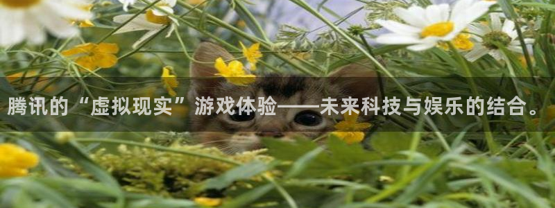 亿万28官网跑路了吗：腾讯的“虚拟现实”游戏体验——未来科技与娱乐的结合。