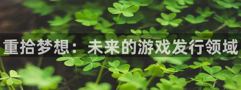 亿万28官网注册平台合法吗?：重拾梦想：未来的游戏发行领域