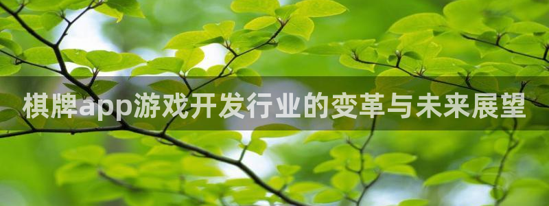 亿万28集团