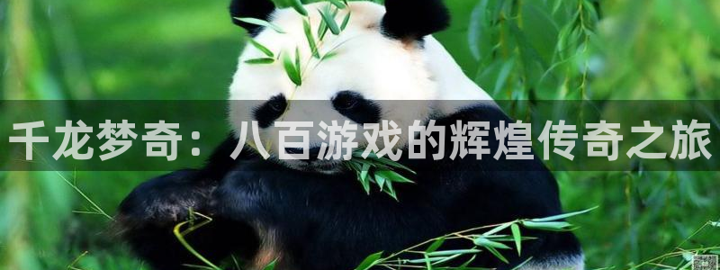 亿万28科技股票