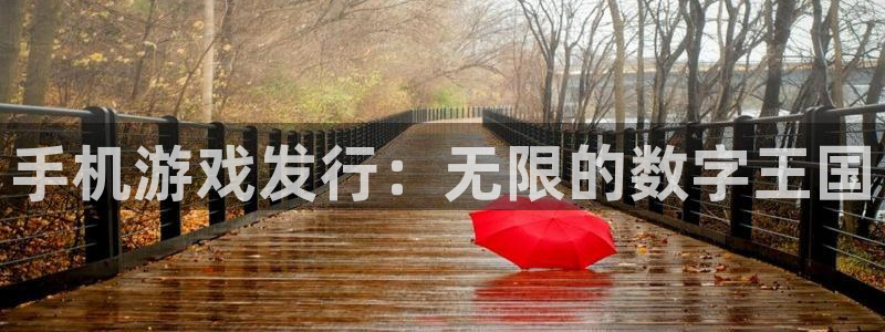 亿万28官网登录注册账号安全吗：手机游戏发行：无限的数字王国