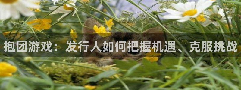 亿万28官网登录注册账号是什么意思：抱团游戏：发行人如何把握机遇、克服挑战