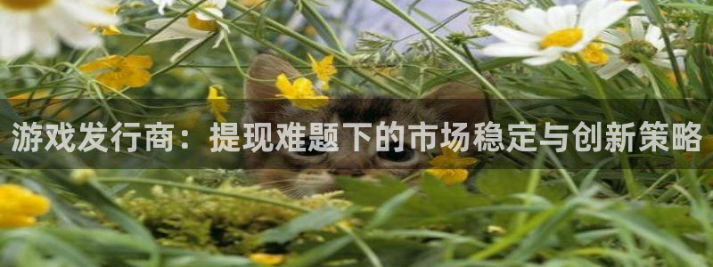 亿万28电子商务有限公司怎么样啊