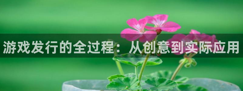 亿万28官网怎么注册账号：游戏发行的全过程：从创意到实际应用