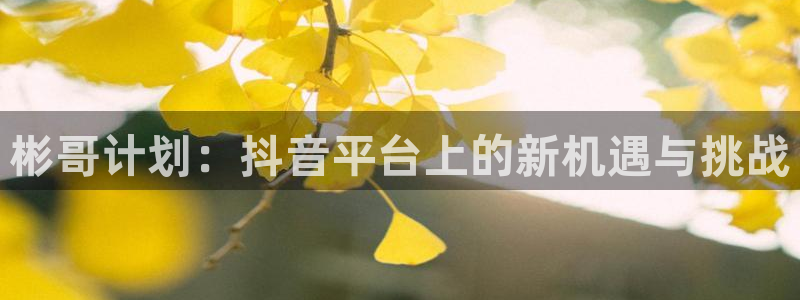 亿万28子出版社董事长：彬哥计划：抖音平台上的新机遇与挑战