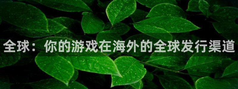广东亿万28营销策划有限公司：全球：你的游戏在海外的全球发行渠道