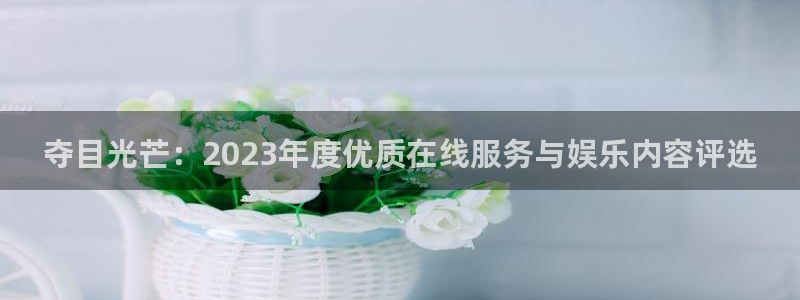 山猫直播足球免费直播：夺目光芒：2023年度优质在线服务与娱乐内容评选