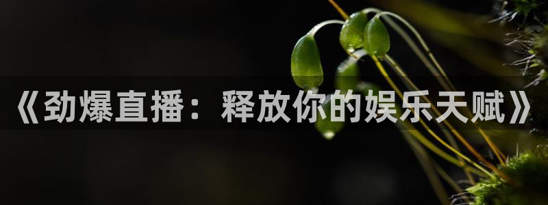 山猫直播足球免费直播在线观看：《劲爆直播：释放你的娱乐天赋》