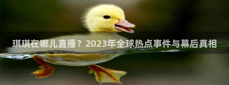 山猫体育在线直播：琪琪在哪儿直播？2023年全球热点事件与幕后真相