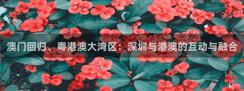 山猫体育直播苹果下载：澳门回归、粤港澳大湾区：深圳与港澳的互动与融合