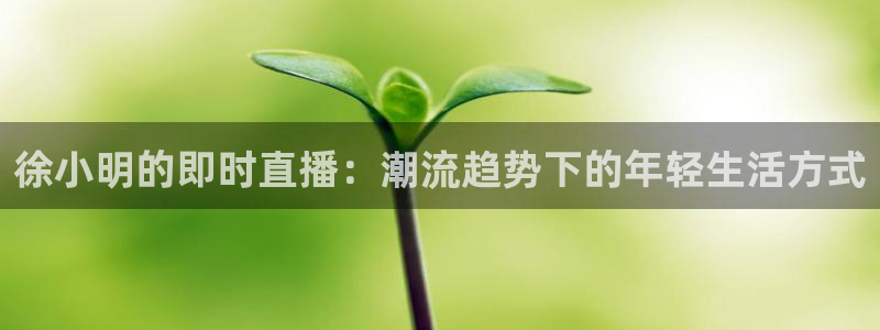 山猫nba免费直播：徐小明的即时直播：潮流趋势下的年轻生活方式