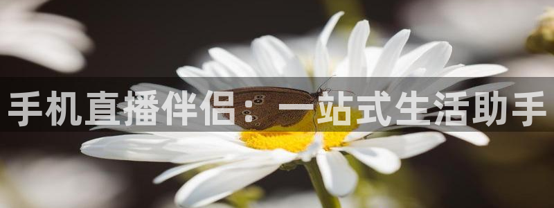 山猫足球直播在线观看免费：手机直播伴侣：一站式生活助手