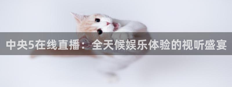 山猫直播免费篮球：中央5在线直播：全天候娱乐体验的视听盛宴