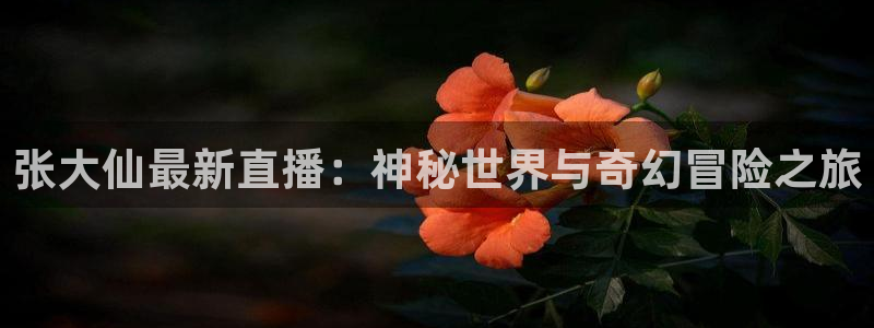 山猫体育免费直播nba：张大仙最新直播：神秘世界与奇幻冒险之旅