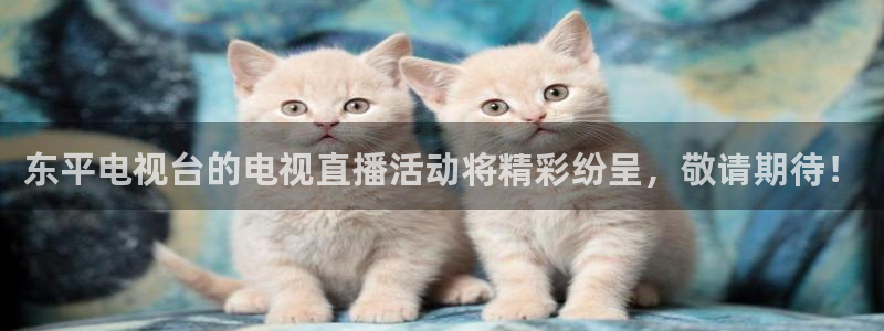 山猫直播体育平台直播：东平电视台的电视直播活动将精彩纷呈，敬请期待！