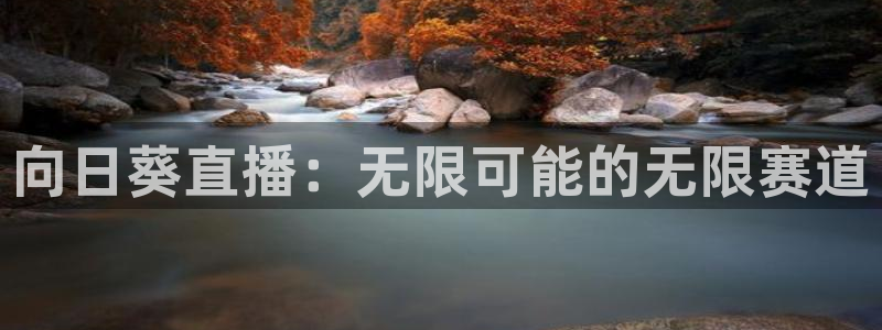 山猫直播体育nba：向日葵直播：无限可能的无限赛道