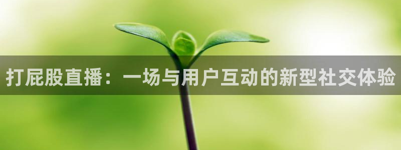 山猫足球免费直播：打屁股直播：一场与用户互动的新型社交体验
