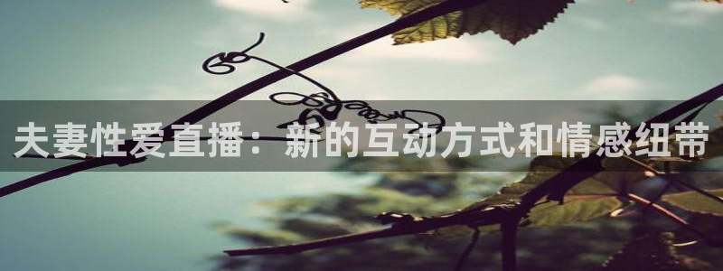 足球直播山猫：夫妻性爱直播：新的互动方式和情感纽带