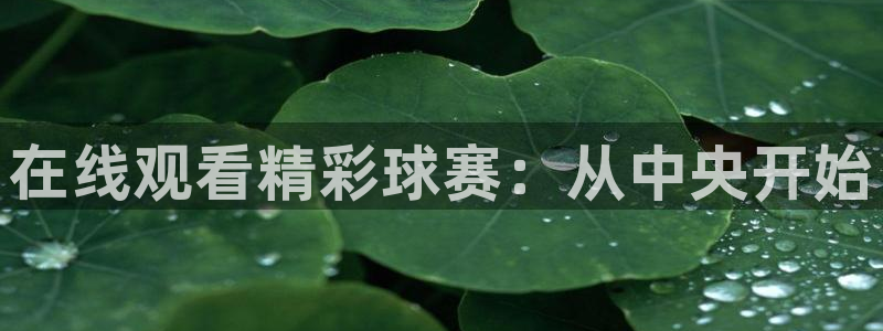 山猫免费直播nba：在线观看精彩球赛：从中央开始